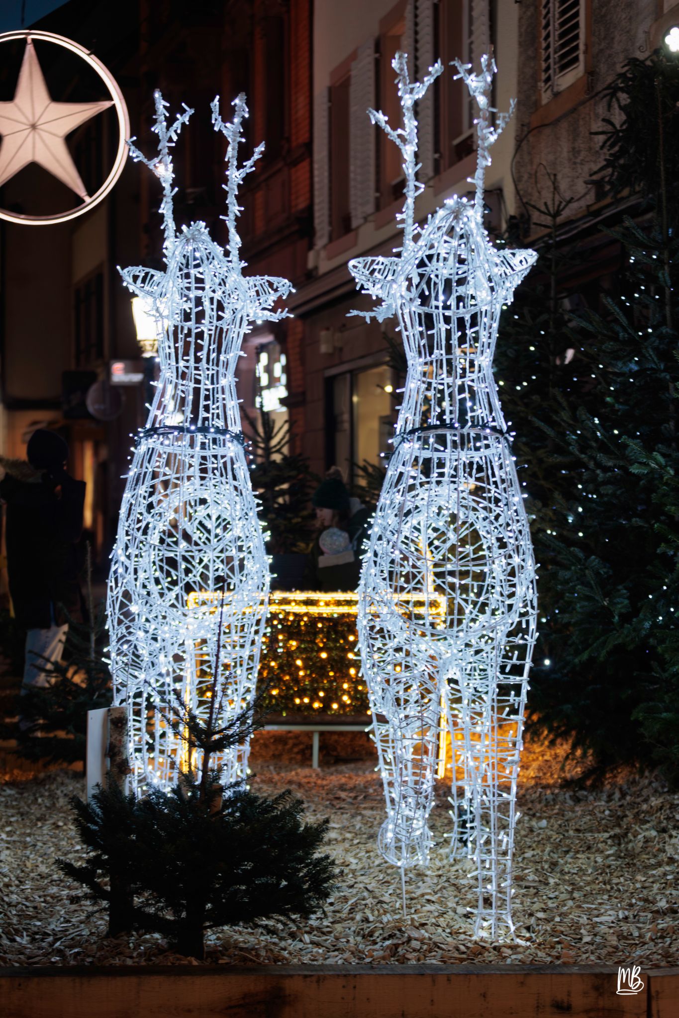 20241129 Noël à Haguenau MB (73 sur 114)